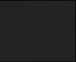 Nástup na běžecké tratě