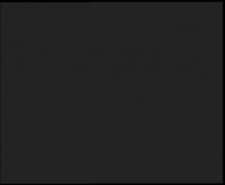 Nástup na běžecké tratě