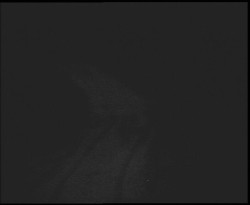 Nástup na běžecké tratě