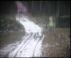 Nástup na běžecké tratě