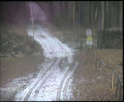 Nástup na běžecké tratě