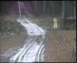 Nástup na běžecké tratě