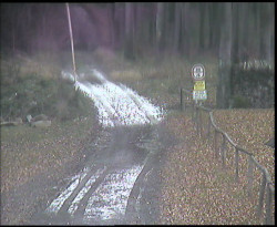 Nástup na běžecké tratě