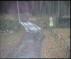 Nástup na běžecké tratě