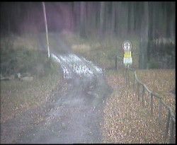 Nástup na běžecké tratě