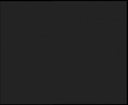 Nástup na běžecké tratě