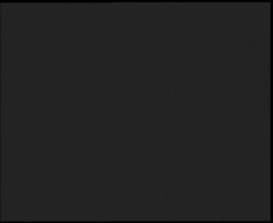 Nástup na běžecké tratě