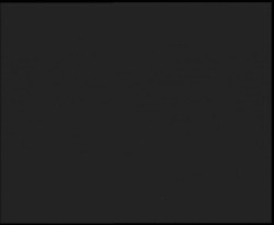 Nástup na běžecké tratě