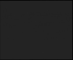 Nástup na běžecké tratě