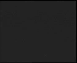 Nástup na běžecké tratě