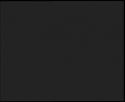 Nástup na běžecké tratě