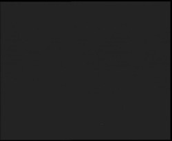 Nástup na běžecké tratě