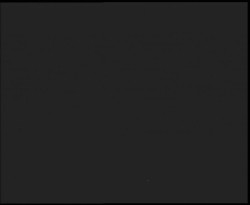 Nástup na běžecké tratě