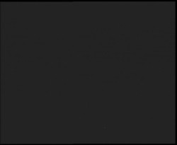 Nástup na běžecké tratě