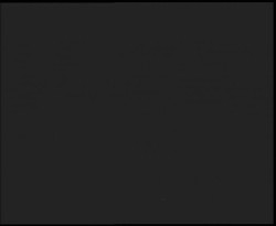 Nástup na běžecké tratě