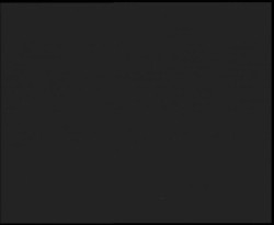 Nástup na běžecké tratě