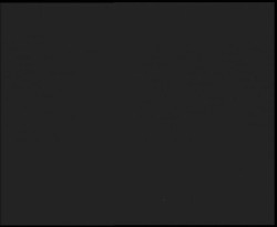 Nástup na běžecké tratě