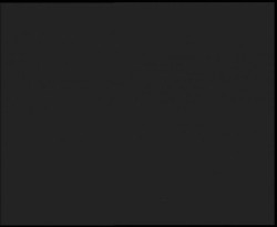 Nástup na běžecké tratě