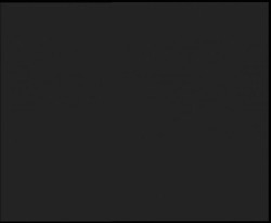 Nástup na běžecké tratě