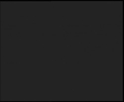 Nástup na běžecké tratě