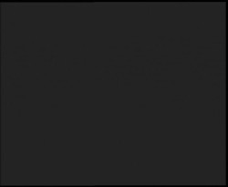 Nástup na běžecké tratě