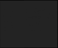 Nástup na běžecké tratě