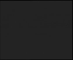 Nástup na běžecké tratě