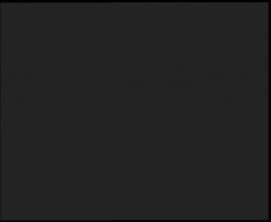 Nástup na běžecké tratě