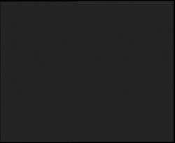 Nástup na běžecké tratě