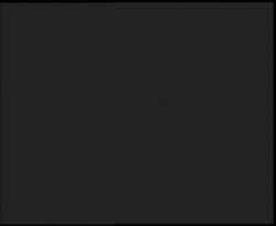 Nástup na běžecké tratě