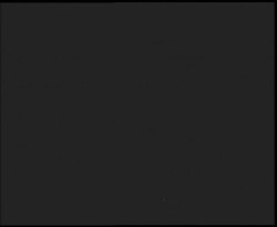 Nástup na běžecké tratě