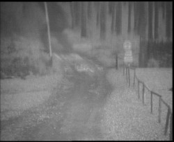 Nástup na běžecké tratě