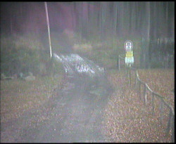 Nástup na běžecké tratě