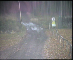 Nástup na běžecké tratě