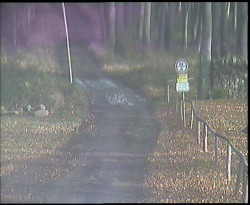 Nástup na běžecké tratě