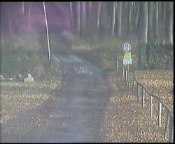 Nástup na běžecké tratě