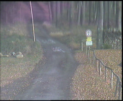 Nástup na běžecké tratě