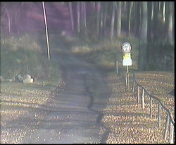 Nástup na běžecké tratě