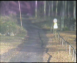 Nástup na běžecké tratě