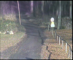 Nástup na běžecké tratě