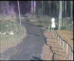 Nástup na běžecké tratě