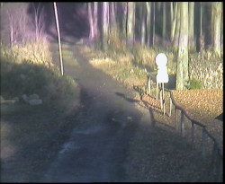 Nástup na běžecké tratě