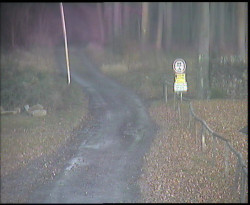 Nástup na běžecké tratě