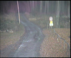 Nástup na běžecké tratě