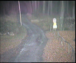 Nástup na běžecké tratě