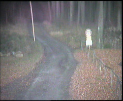 Nástup na běžecké tratě