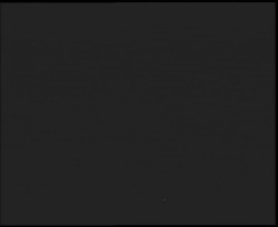 Nástup na běžecké tratě