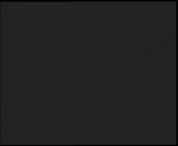 Nástup na běžecké tratě