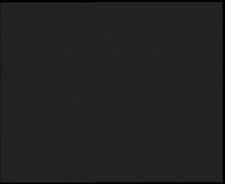 Nástup na běžecké tratě