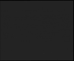 Nástup na běžecké tratě